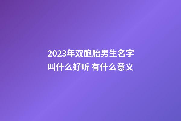 2023年双胞胎男生名字叫什么好听 有什么意义